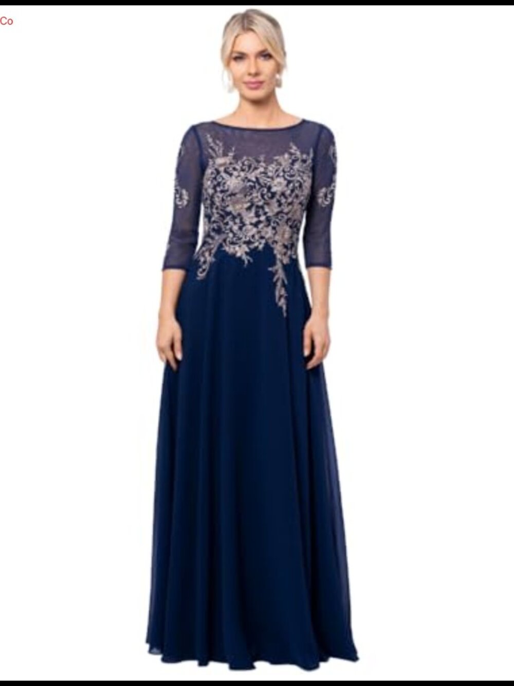 Long Chiffon A-Line Evening Gown Illusion Boat Neck Metallic Floral Applique